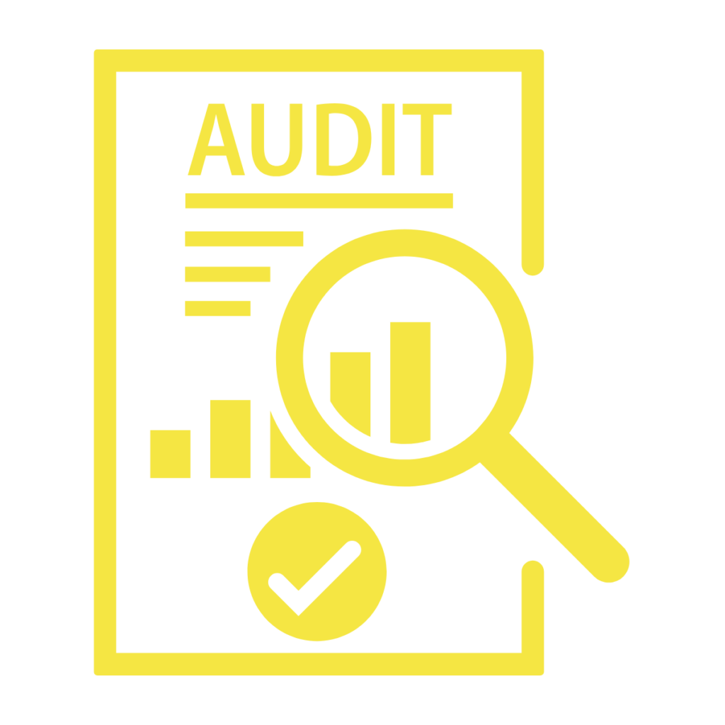 Audit icon