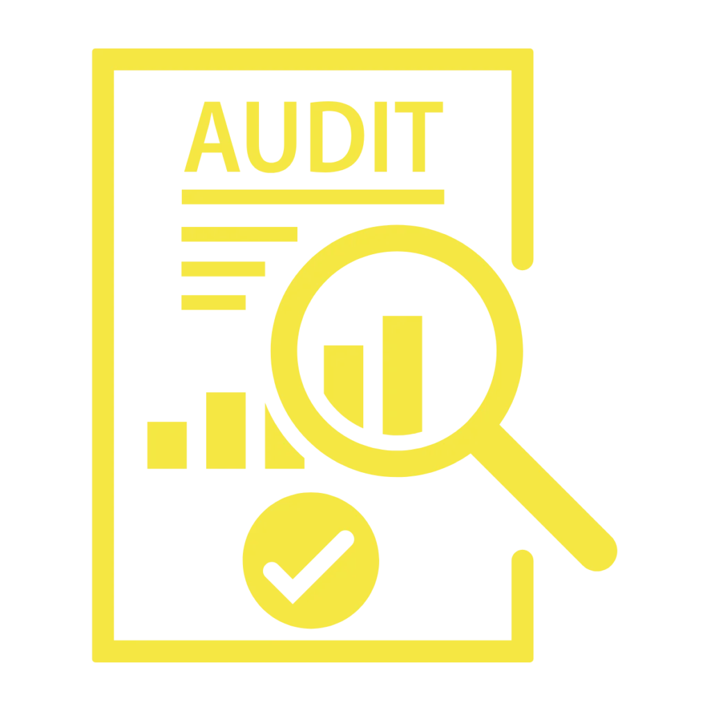 Audit icon